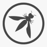 OWASP