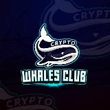 Crypto Whales Club - News