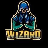 Записки волшебника