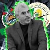 Gaza Daily Insights 🍉