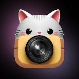 Shotix | Шотикс | Идеи💡