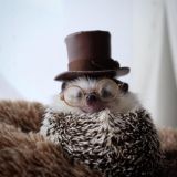 Комната мыслей