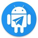 БОТЫ TELEGRAM 🤖