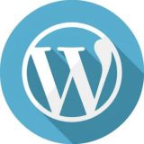 قالب و افزونه وردپرس