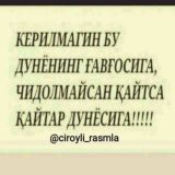 ┄┅༄ϘᏆᎽϴᎷᎪͲᏞᏆ ᎠϴՏͲᏞᎪᎡ༄┅┄