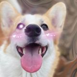 ⛓ɸઠ ૦੮ κɪⲛɢ 🧶