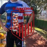 Sᴀᴍɪɴᴏ ᴍᴜᴢ ᴄʜᴀᴛ