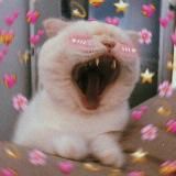 Бокс для начинающих