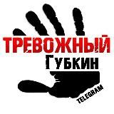 Тревожный Губкин