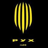 АКАДЕМІЯ ФК РУХ ІФ