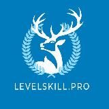 LEVEL SKILL PRO