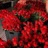 ♚🖤ꦿꦾ̅ᷢ⃧🇷ꦿꦾ̅ᷧ⃧🇦ꦿꦾ̅ͩ⃧🇩ꦿꦾ̅ᷠ⃧🇳ꦿꦾ̅ͦ⃧🇴ꦿꦾ̅ꙷ⃧🇾ꦿꦾ̅ᷞ⃧🇱ꦿꦾ̅ᷧ⃧🇦ꦿꦾ̅ᷢ⃧🇷ꦿꦾ̅⃡❤️❁ ❦: