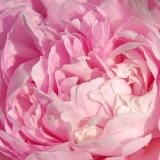 Ina Sekreto // О женственности, смысле жизни и не только