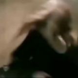 гяруин2х