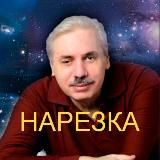 Н.Левашов: нарезка - видео ответы