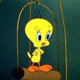 ⚥︎ 𝑈𝐴𝐸𝑁𝐴 و✧ 이지금