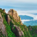 新元时事云云群