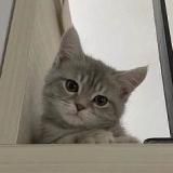 БратишкаНаказывает!