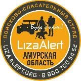ДПСО «ЛизаАлерт» Амурская область
