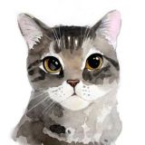 Dibujantes🖌️💕