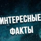 Интересные факты из жизни