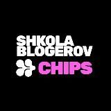 Школа Chips