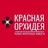 Красная Орхидея