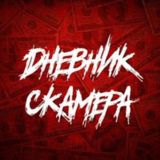 Заказать скам Ботов❗