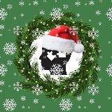 PsychoEducation/Психообразование