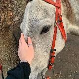 мысли 𝒶𝓂𝒾.