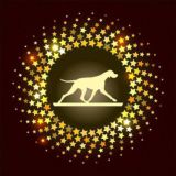 СпортШоуКлуб