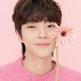 🦋Навигация Азиатские Дорамы🦋