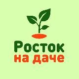 Росток на даче 🌱