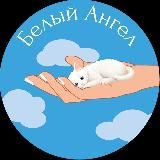 #Белый_Ангел