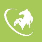 ТОМСКИЕ / РСО