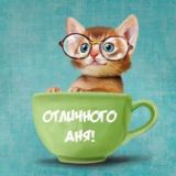 Интеллектуальный чат Юлии