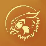 Янтарный Сокол • Творчество