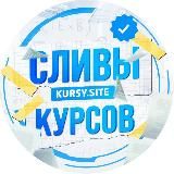 Курсы для студентов