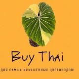 BuyThai sale