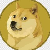 MyDoge_Official_Group