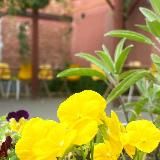 Театральный Петербург & Кино