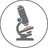 Гистология. СамМИ