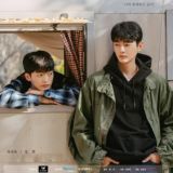 Cherry Blossoms After Winter