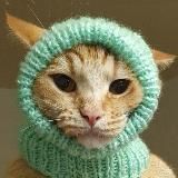 МОЖНО ПОРЖАТЬ?