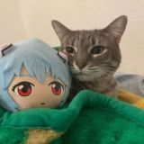 Аватарки | Картинки | Пикчи