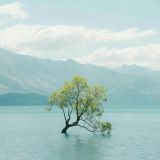 عقل آبی | صدّیق قطبی