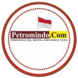 Lowongan Petromindo