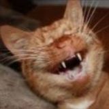 ржу нимагу ЮМОР😂🤯😏