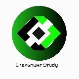 Скальпинг Study