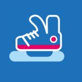 Ледовый каток Mega Ice